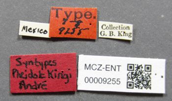 Media type: image;   Entomology 9255 Aspect: labels